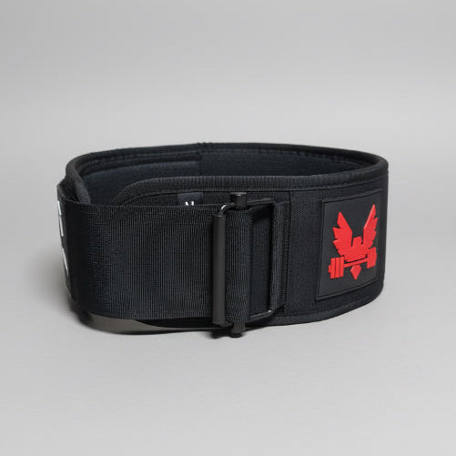 Freedom Strength weightlifting belt
